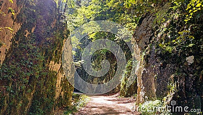 ZÄƒrneÈ™tilor Gorges, Piatra Craiului National Park, Romania Stock Photo